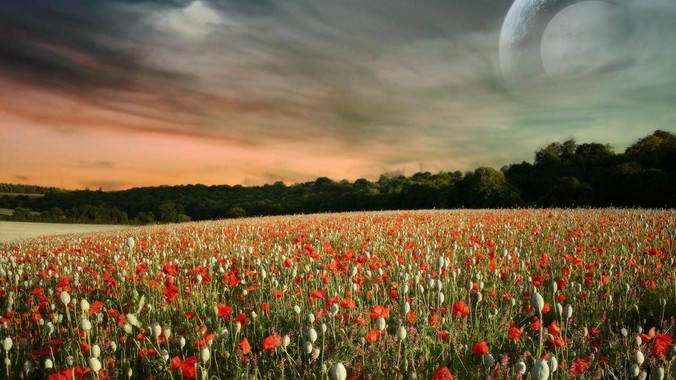 亚洲体坛最漂亮的十位女运动员都有谁？